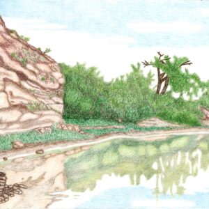 Landscapes