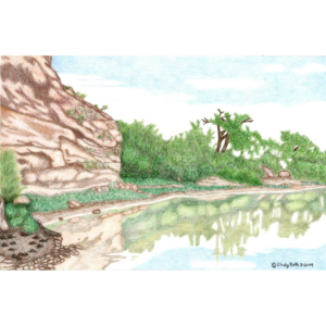 Green River I
