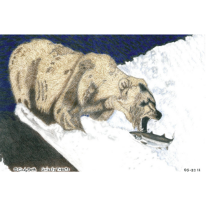 Grizzly Treats