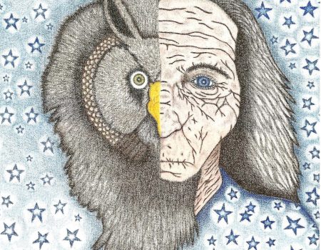 Wisdom Catcher
